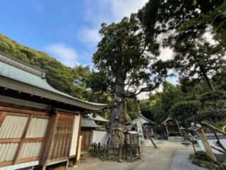 四国八十八ヶ所霊場 第2番札所 極楽寺