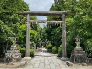 木嶋神社 (蚕の社)　参道