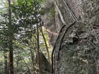 天岩戸立岩神社