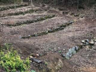 竹ヶ島 七段の聖地