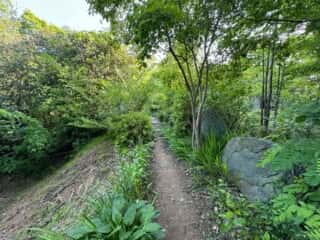 四国八十八ヶ所霊場 第86番札所 志度寺