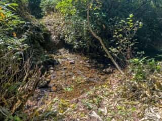 屏風岳・刈田岳 登山道