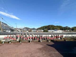 四国八十八ヶ所霊場 第34番札所 種間寺