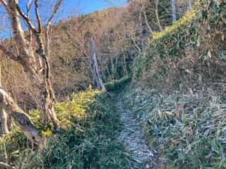 剣山・次郎笈 登山道