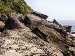 海岸の岩場
