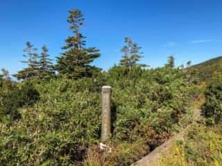 八甲田山 登山道