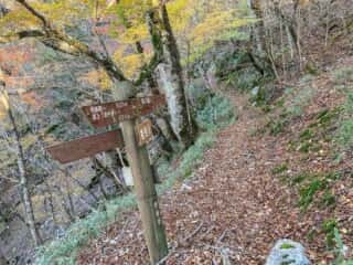 剣山登山道