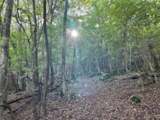 旭ヶ丸・大川原高原