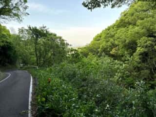 四国八十八ヶ所霊場 第85番札所 八栗寺〜第86番札所 志度寺
