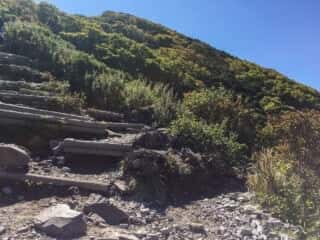 大山登山道