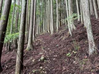 中津山