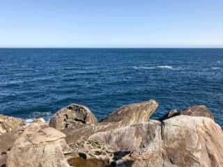 竹ヶ島から海を眺める