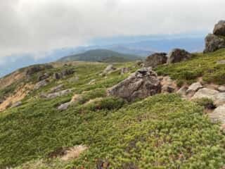 早池峰山 登山道