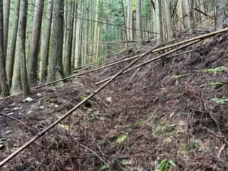 中津山