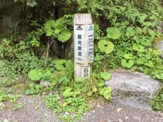 観光新道登山道