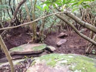 南側の岩場
