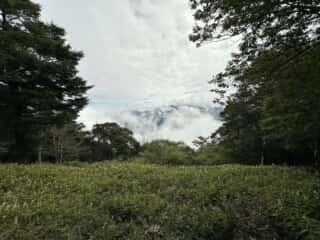中津山
