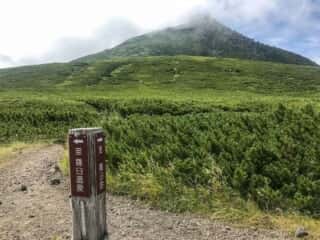羅臼岳登山道