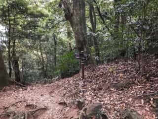 筑波山登山道