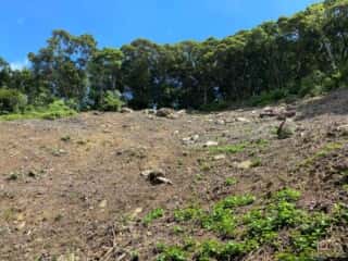 島中心部斜面の岩