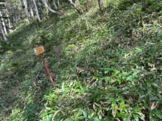 雄阿寒岳