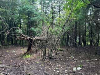 矢筈山・石堂山