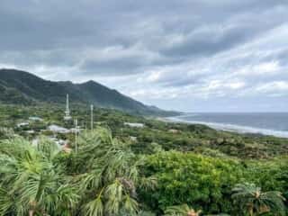 徳之島 金見崎ソテツトンネル