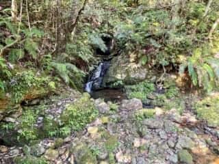 奄美大島 マテリヤの滝壺