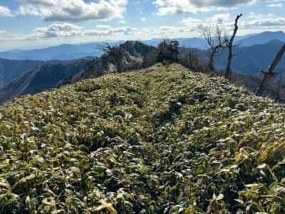 一ノ森・槍戸山