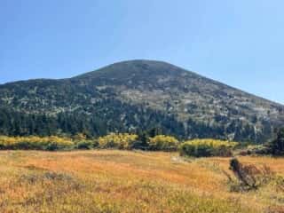八甲田山 登山道