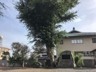 三ツ石神社の境内