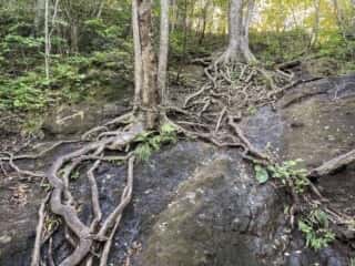 妙義山 登山道