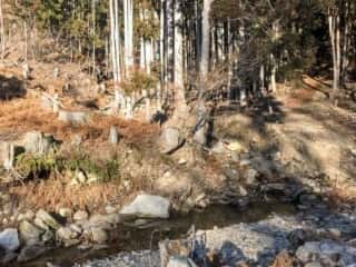 石投山 黒森山 登山道