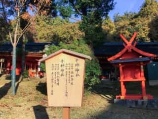 春日大社の境内にある辛榊神社と青榊神社