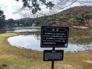 毛越寺　洲浜