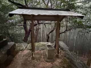 星神社（竹林寺）