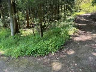 四国八十八ヶ所霊場 第87番札所 長尾寺〜第88番札所 大窪寺