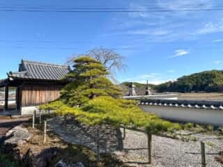 四国八十八ヶ所霊場 第34番札所 種間寺