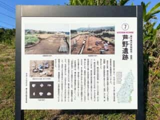 種子島 遺跡