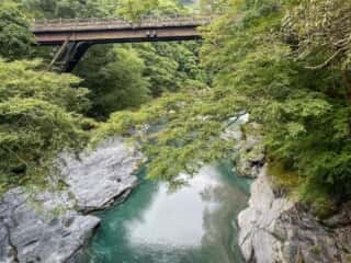 祖谷のかずら橋からの景色