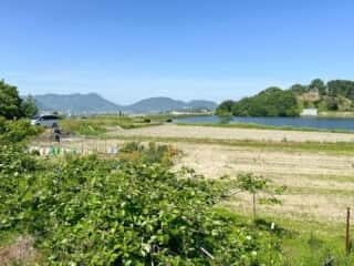四国八十八ヶ所霊場 第70番札所 本山寺〜第71番札所 弥谷寺