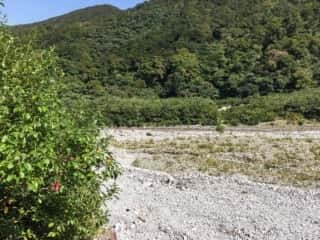 大山登山道