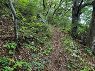 願掛岩の上にある公園への道
