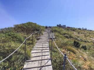 大山登山道