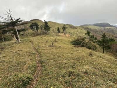 土佐矢筈山・小桧曽山