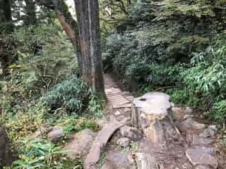 筑波山 登山道