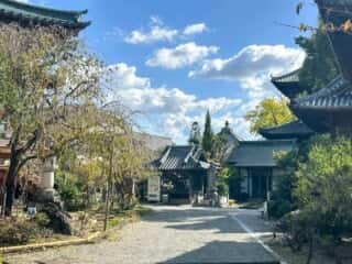 四国八十八ヶ所霊場 第19番札所 立江寺