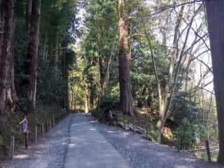 中尊寺　参道
