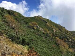 権現岳