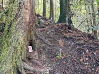 四国八十八ヶ所霊場 第42番札所 仏木寺〜第43番札所 明石寺